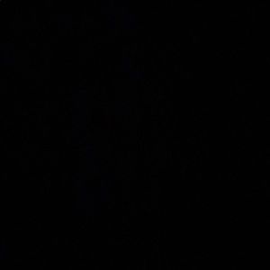 Meet your Posher, Chase